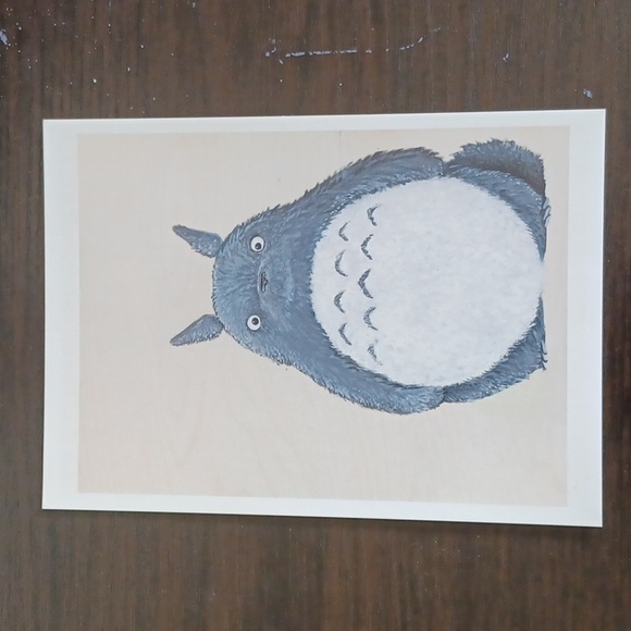 Other - Totoro print